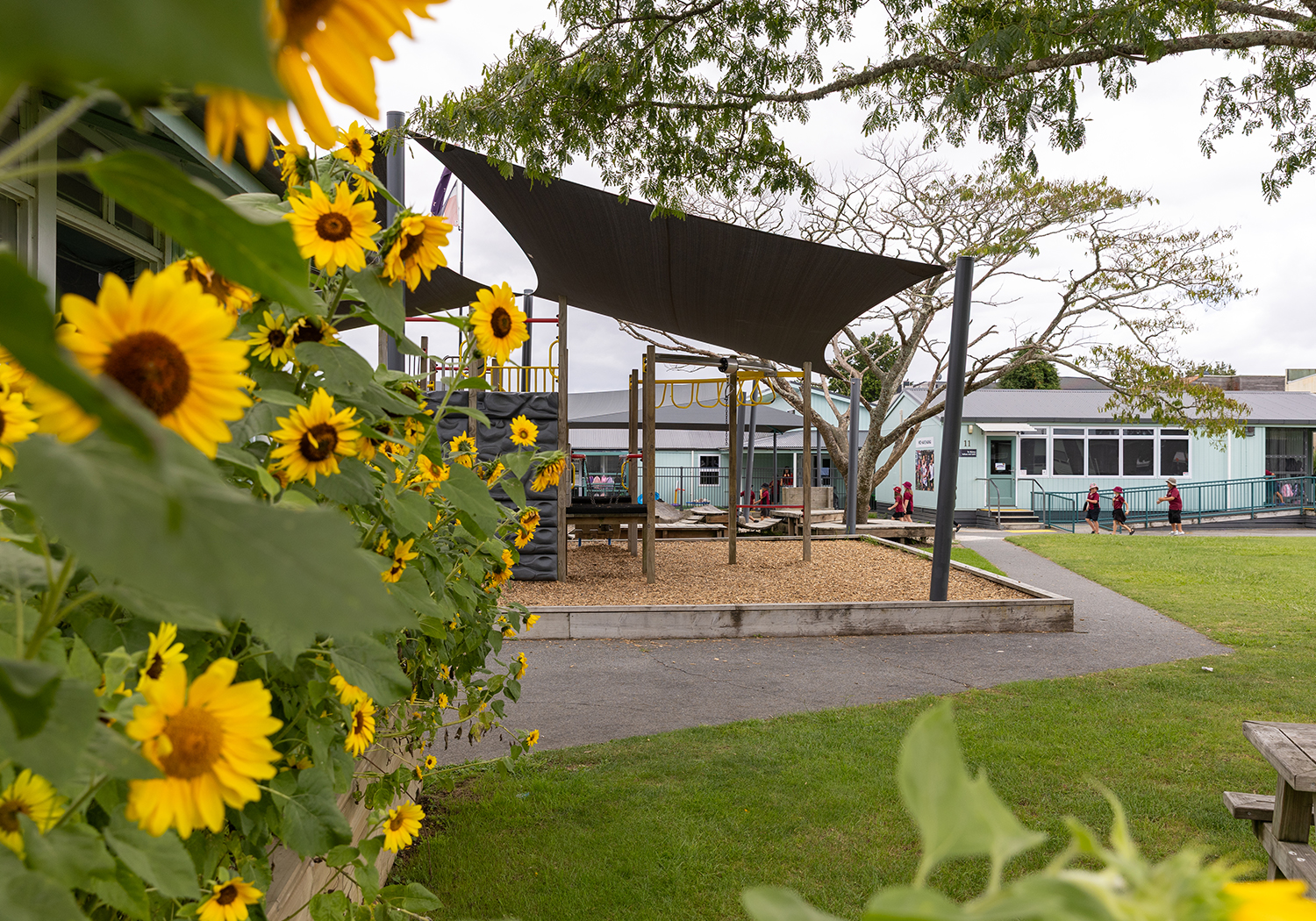 Garden.jpg